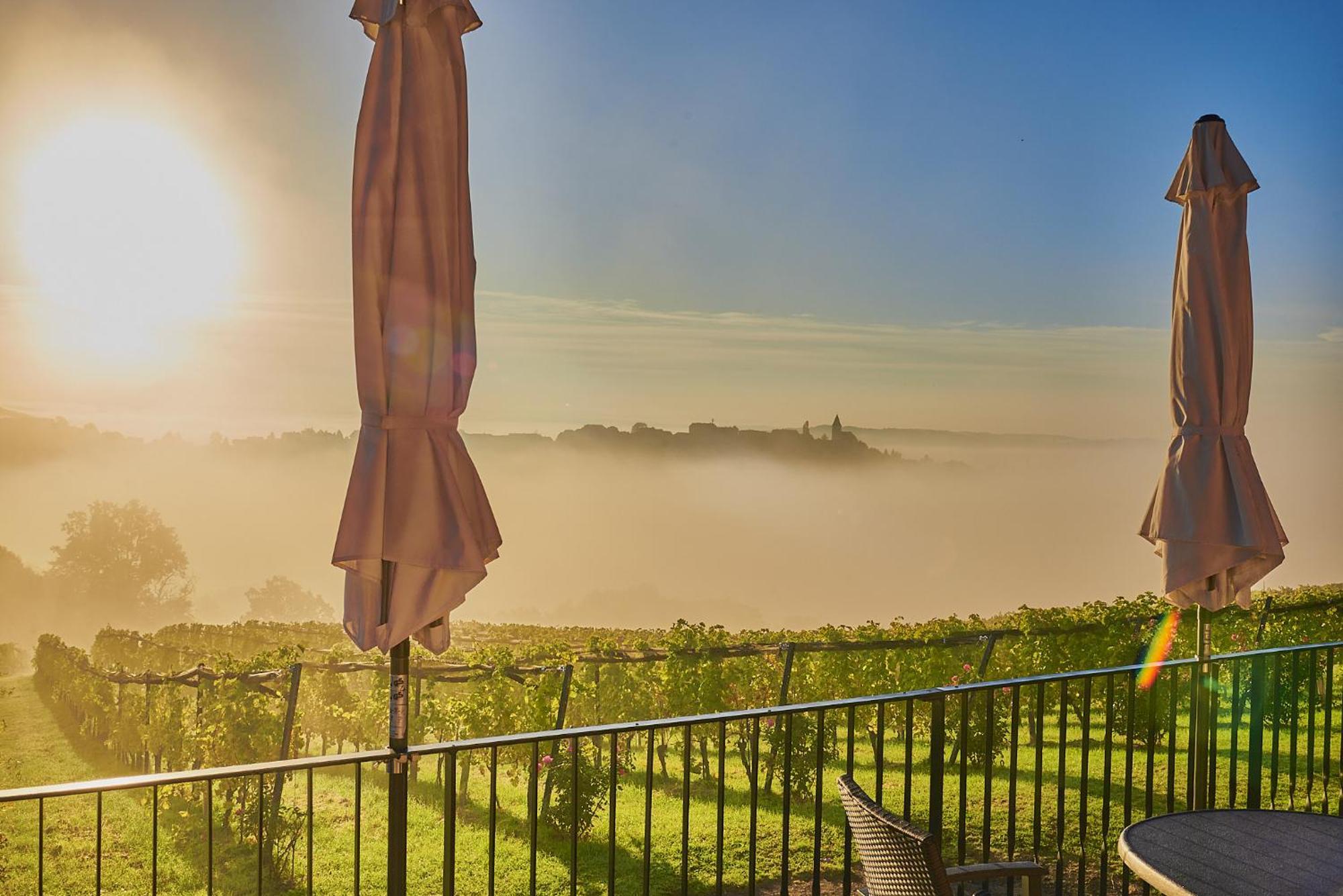 Winzerzimmer Scharl Sankt Anna am Aigen Esterno foto