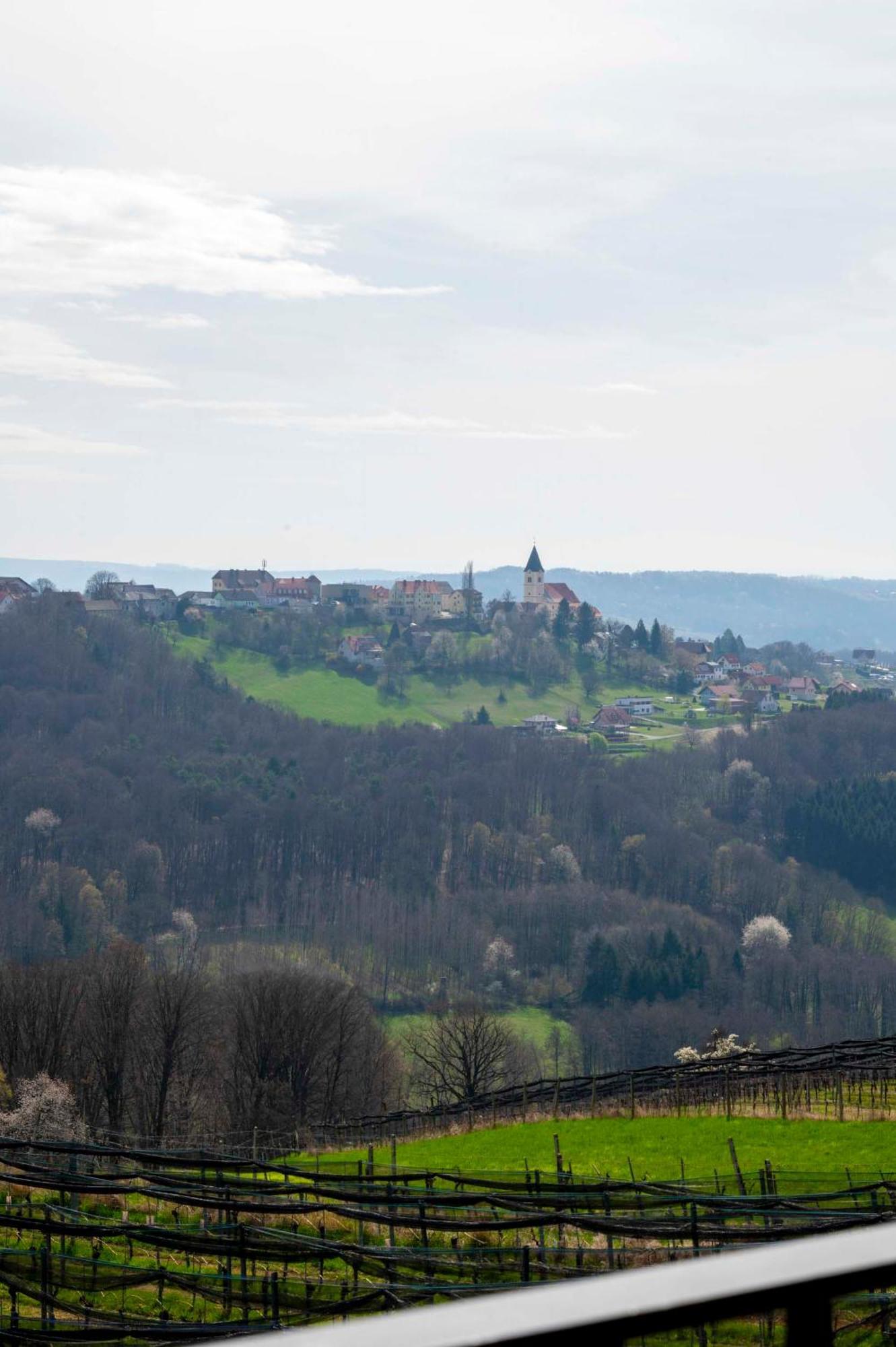 Winzerzimmer Scharl Sankt Anna am Aigen Esterno foto